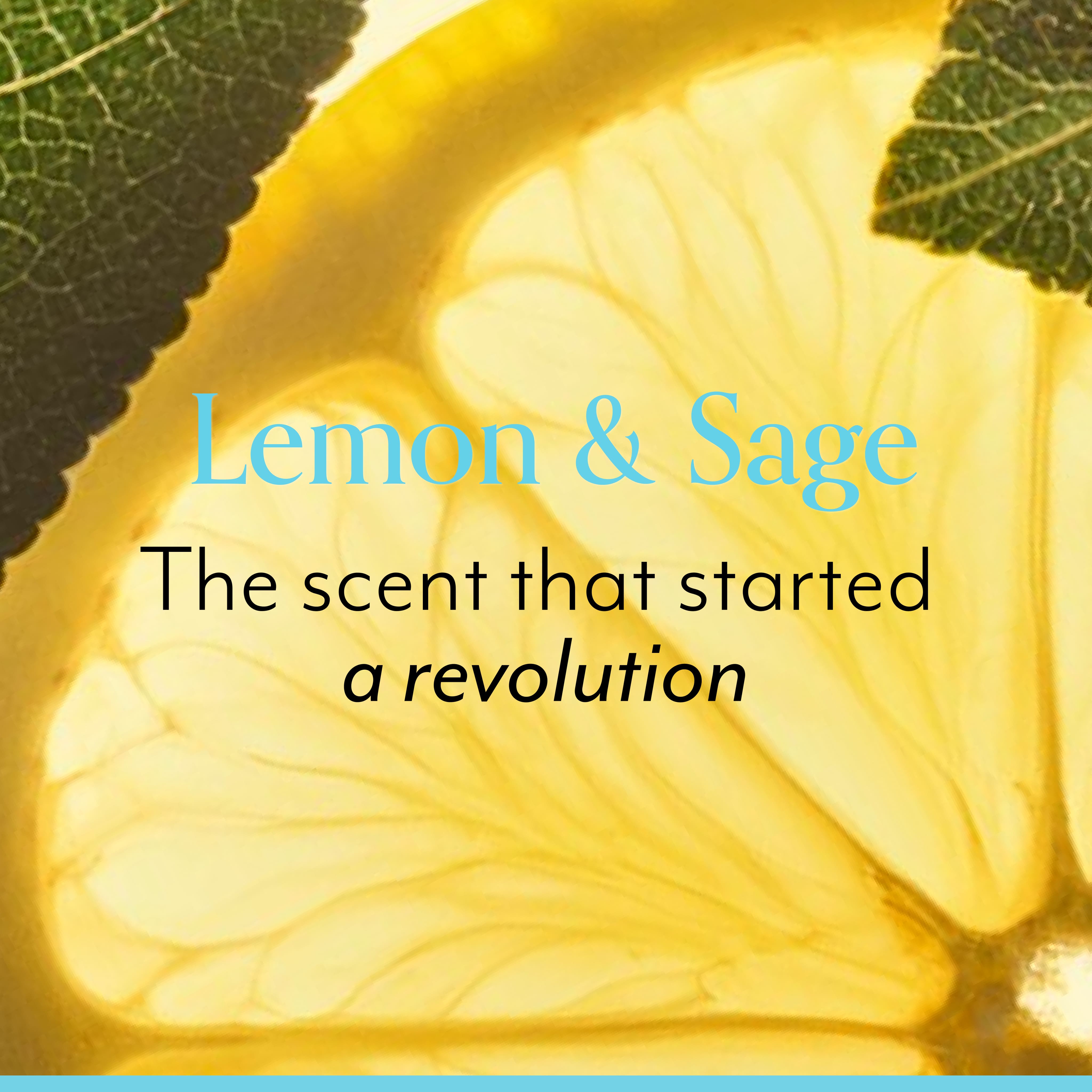Laurageller Lemon & Sage Happy Hands Cream & Wash - Image 6
